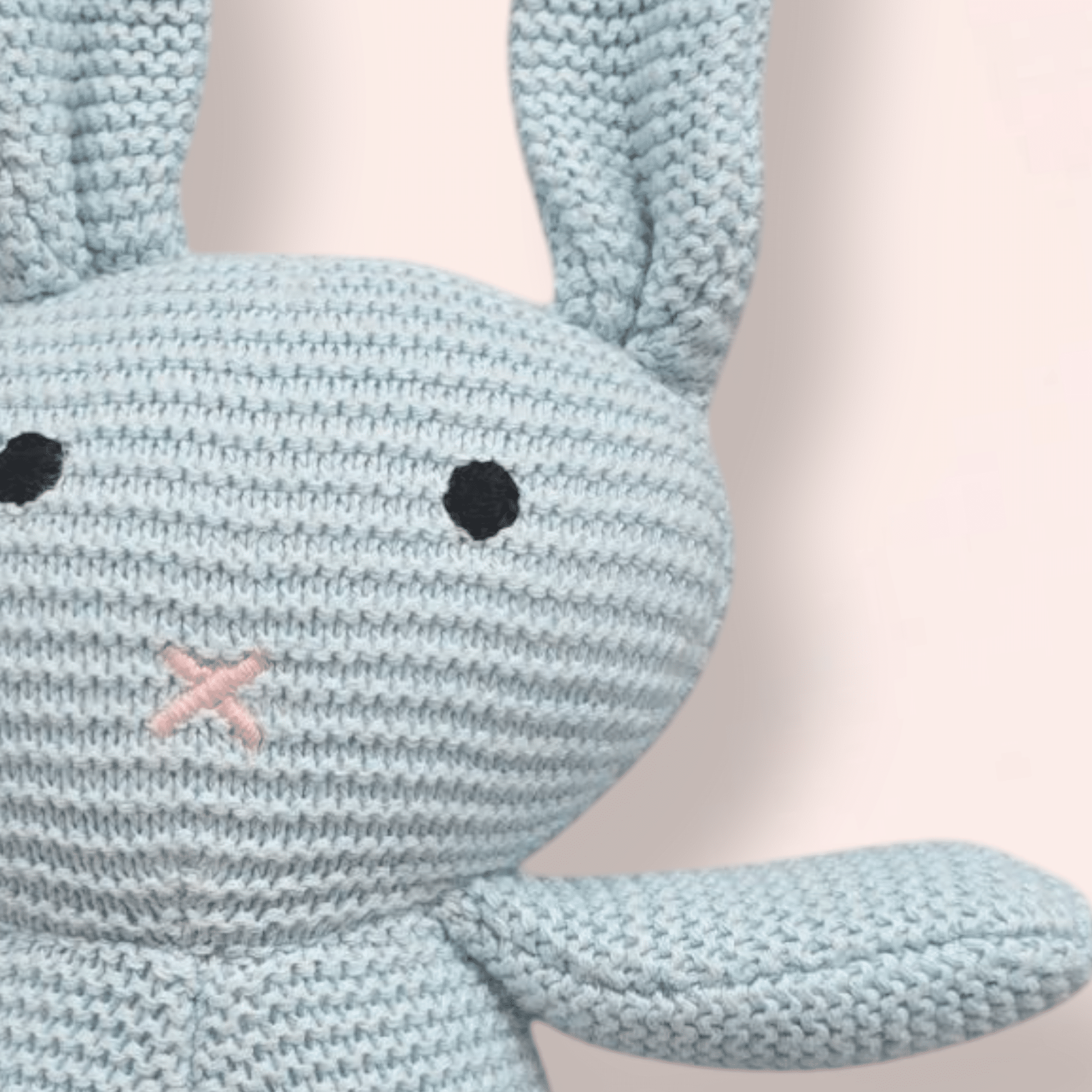 The Blue Bunny