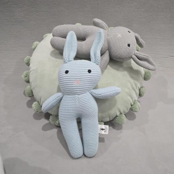 The Blue Bunny