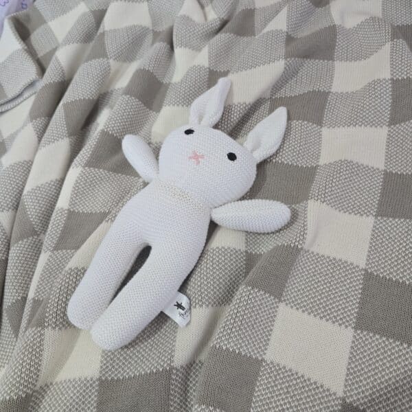 The White Bunny
