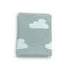 Preemie Blanket – Sage Cloud