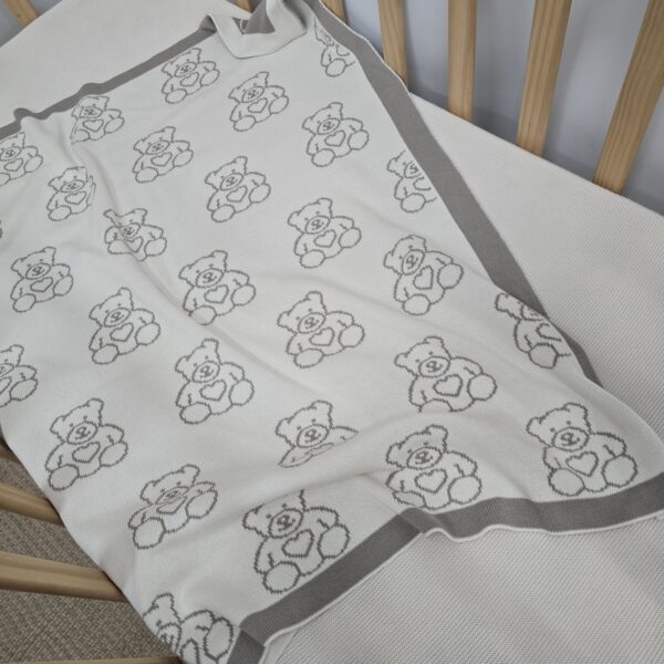 The Teddy Bear Blanket The Teddy Bear Blanket