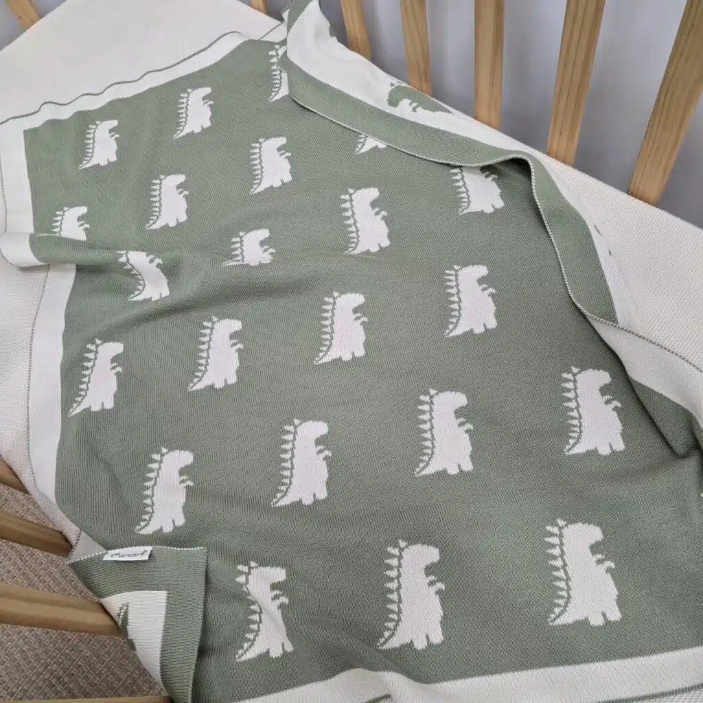 The Dinosaur Blanket