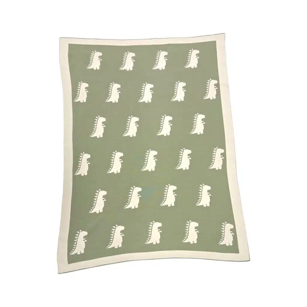 The Dinosaur Blanket