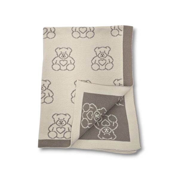 The Teddy Bear Blanket The Teddy Bear Blanket